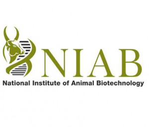 National Institute of Animal Biotechnology