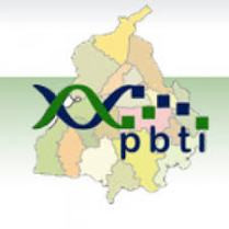 Punjab Biotechnology Incubator